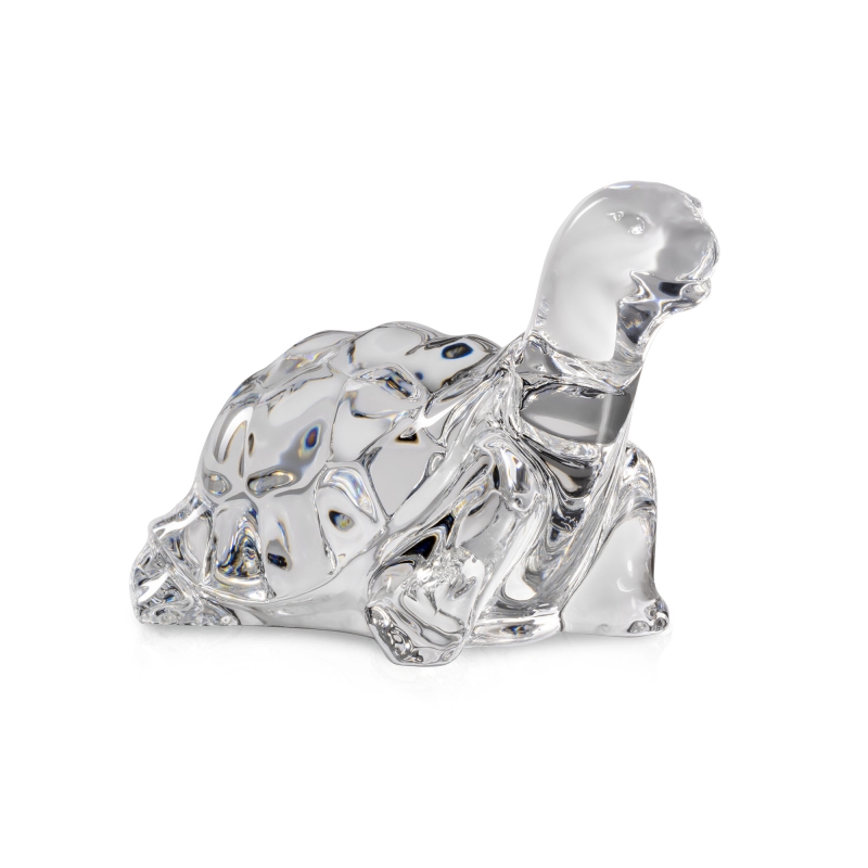 Giant Tortoise Hand Cooler